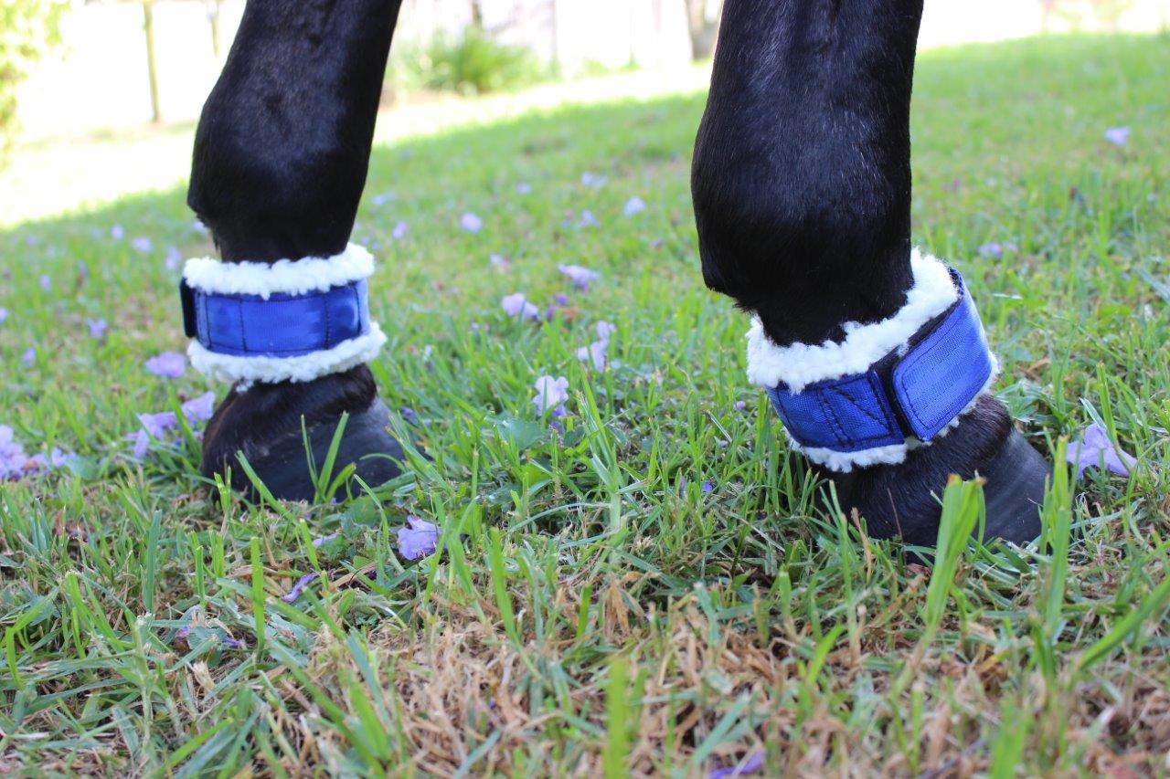 Sunbrero Magnetic Pastern Bands - Blue Sunbrero Magnetic Pastern Bands - Blue